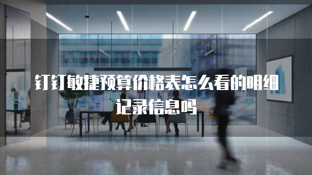 钉钉敏捷预算价格表怎么看的明细记录信息吗