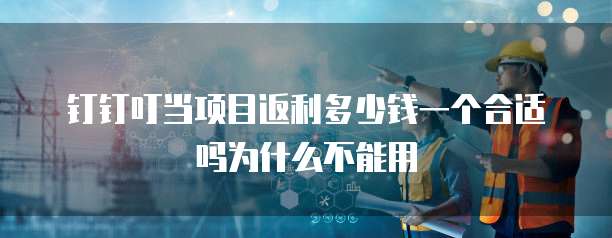 钉钉叮当项目返利多少钱一个合适吗为什么不能用