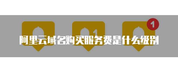 阿里云域名购买服务费是什么级别