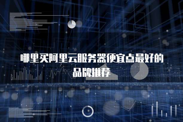 哪里买阿里云服务器便宜点最好的品牌推荐