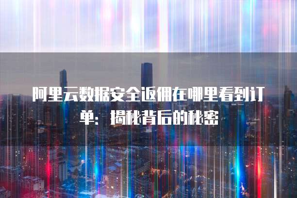 阿里云数据安全返佣在哪里看到订单:揭秘背后的秘密
