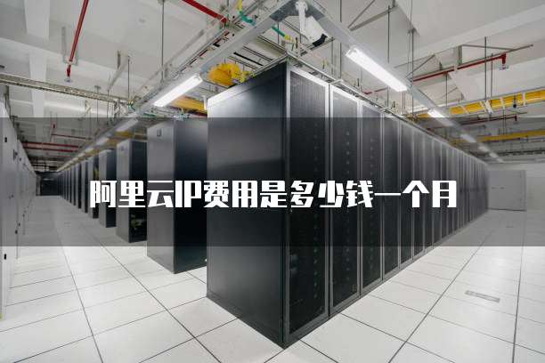 阿里云IP费用是多少钱一个月