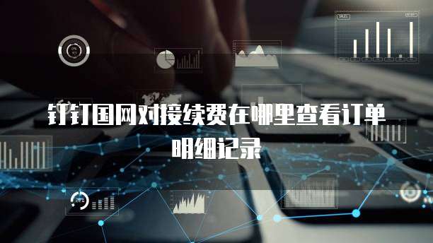 钉钉国网对接续费在哪里查看订单明细记录