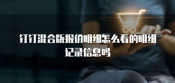 钉钉混合版报价明细怎么看的明细记录信息吗
