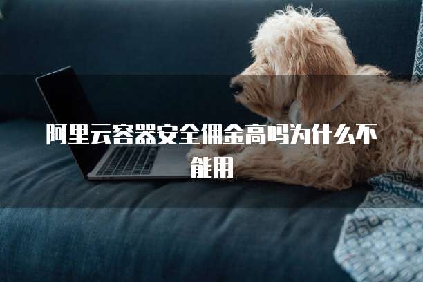 阿里云容器安全佣金高吗为什么不能用