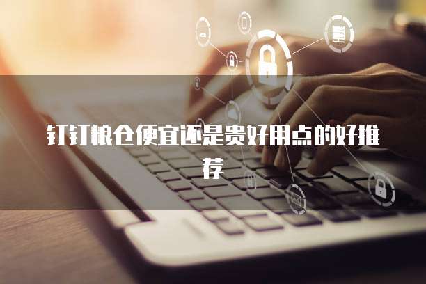 钉钉粮仓便宜还是贵好用点的好推荐