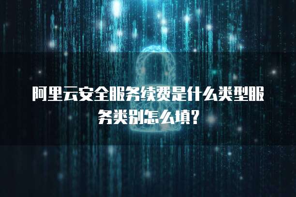 阿里云安全服务续费是什么类型服务类别怎么填?