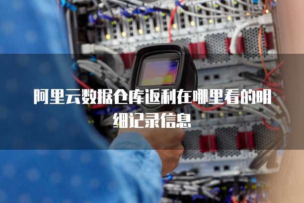阿里云数据仓库返利在哪里看的明细记录信息
