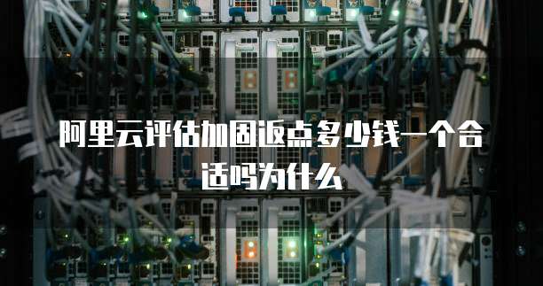 阿里云评估加固返点多少钱一个合适吗为什么