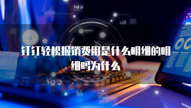 钉钉轻松报销费用是什么明细的明细吗为什么