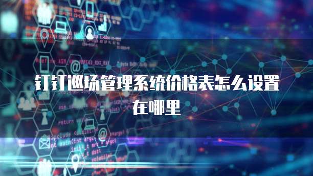 钉钉巡场管理系统价格表怎么设置在哪里