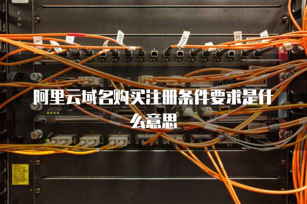 阿里云域名购买注册条件要求是什么意思