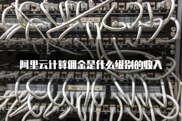 阿里云计算佣金是什么级别的收入