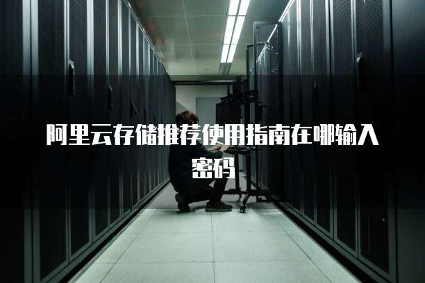 阿里云存储推荐使用指南在哪输入密码