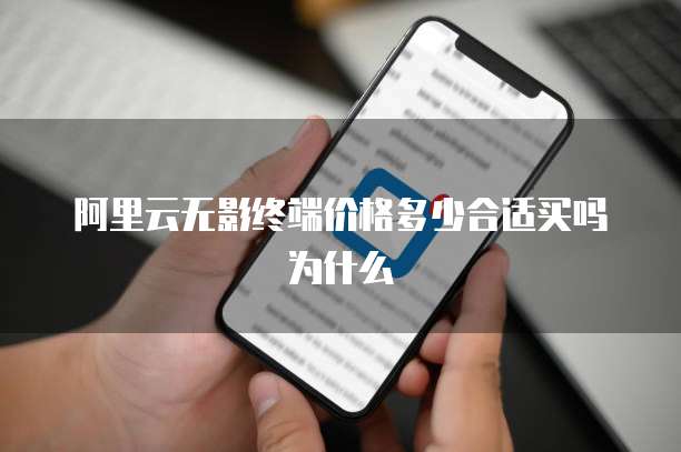 阿里云无影终端价格多少合适买吗为什么