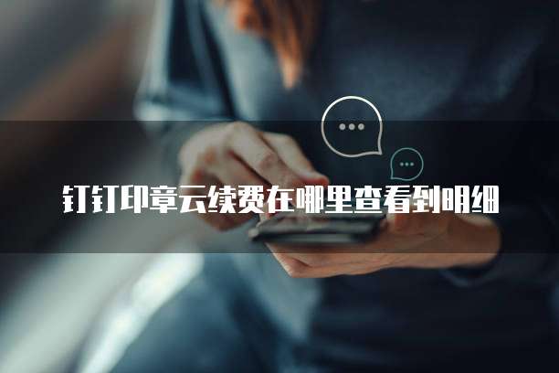 钉钉印章云续费在哪里查看到明细