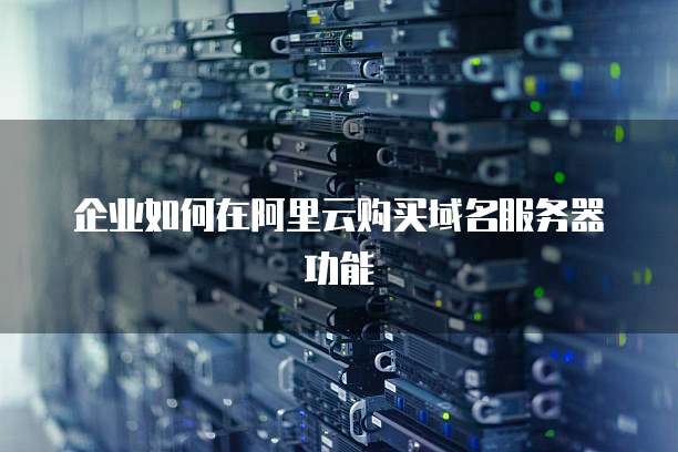 企业如何在阿里云购买域名服务器功能