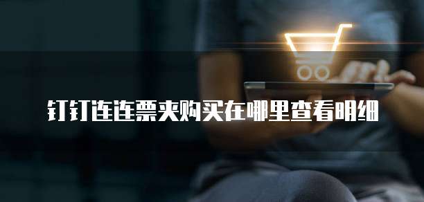 钉钉连连票夹购买在哪里查看明细