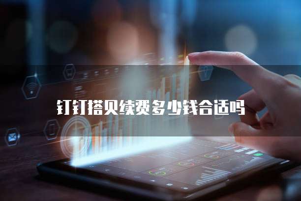 钉钉搭贝续费多少钱合适吗