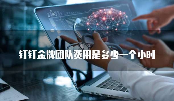 钉钉金牌团队费用是多少一个小时