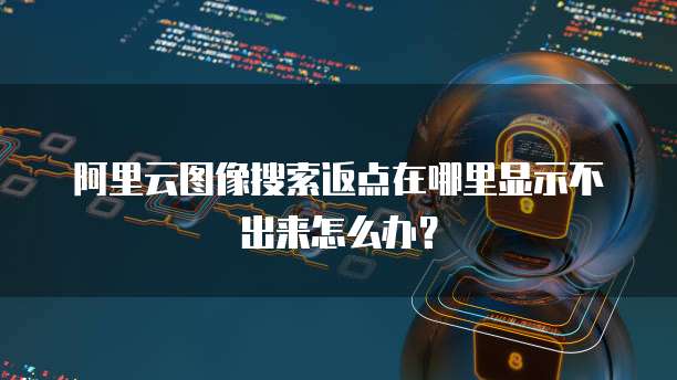 阿里云图像搜索返点在哪里显示不出来怎么办?