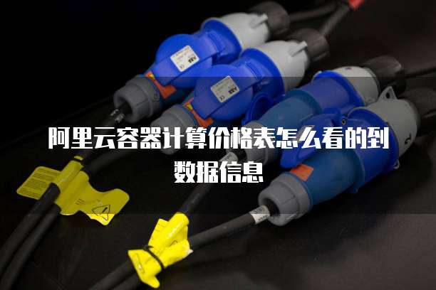 阿里云容器计算价格表怎么看的到数据信息