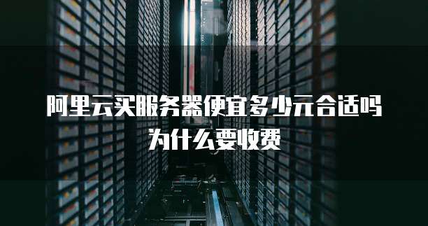 阿里云买服务器便宜多少元合适吗为什么要收费