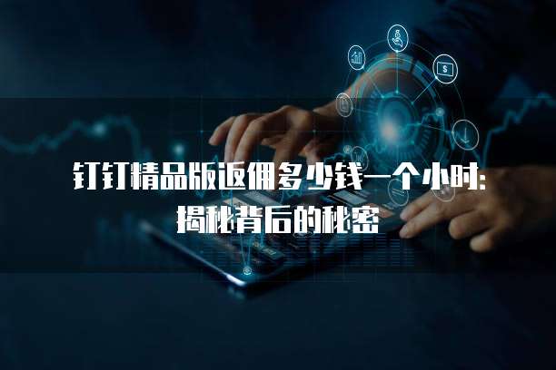 钉钉精品版返佣多少钱一个小时:揭秘背后的秘密