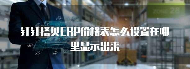 钉钉搭贝ERP价格表怎么设置在哪里显示出来
