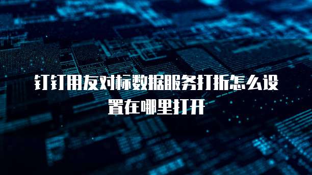 钉钉用友对标数据服务打折怎么设置在哪里打开