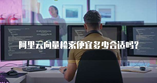 阿里云向量检索便宜多少合适吗？