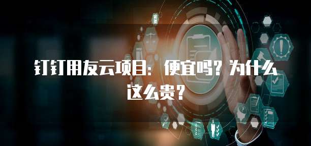 钉钉用友云项目:便宜吗?为什么这么贵?
