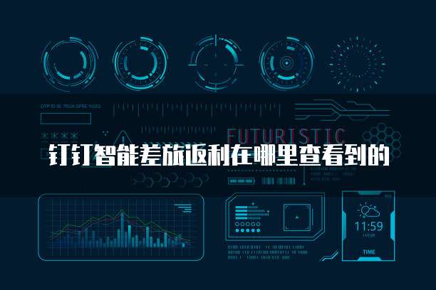钉钉智能差旅返利在哪里查看到的