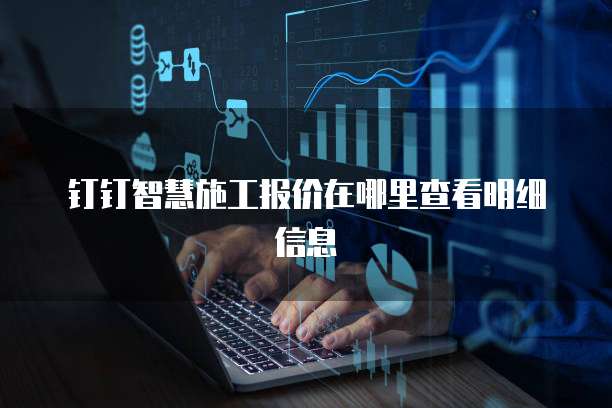 钉钉智慧施工报价在哪里查看明细信息