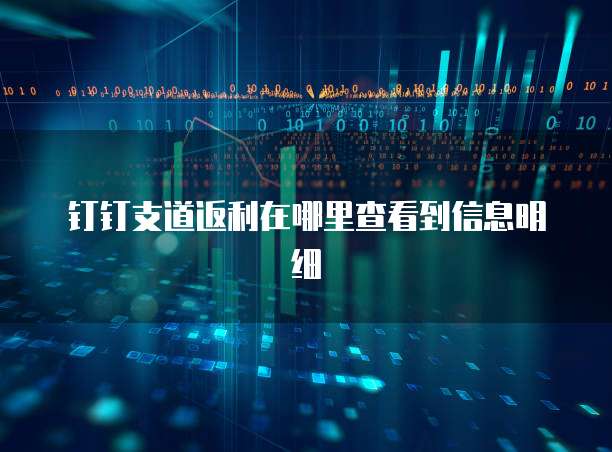 钉钉支道返利在哪里查看到信息明细