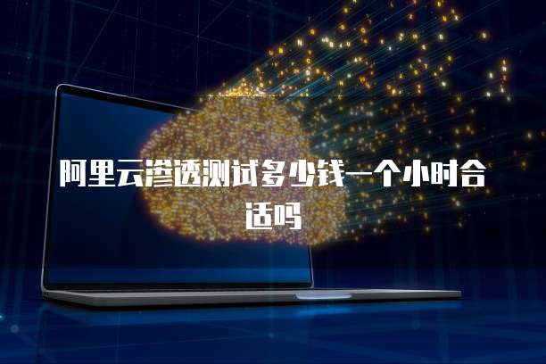 阿里云渗透测试多少钱一个小时合适吗
