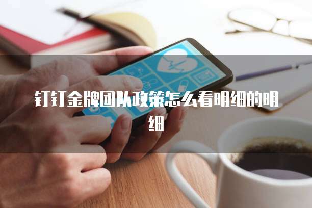 钉钉金牌团队政策怎么看明细的明细