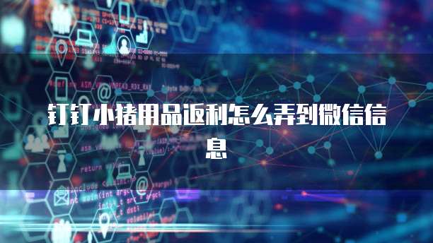 钉钉小猪用品返利怎么弄到微信信息