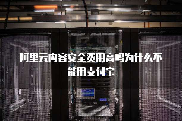 阿里云内容安全费用高吗为什么不能用支付宝