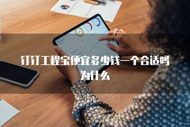 钉钉工程宝便宜多少钱一个合适吗为什么