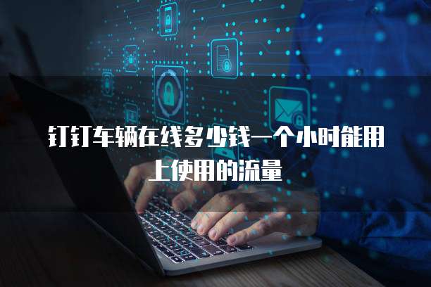 钉钉车辆在线多少钱一个小时能用上使用的流量