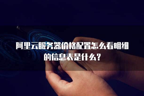 阿里云服务器价格配置怎么看明细的信息表是什么?