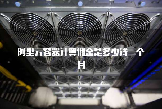 阿里云容器计算佣金是多少钱一个月