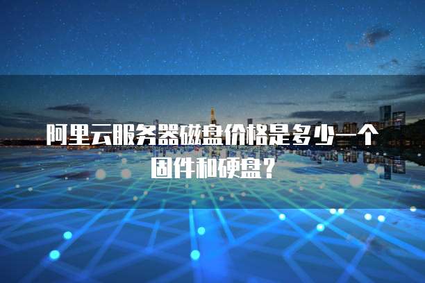 阿里云服务器磁盘价格是多少一个固件和硬盘?
