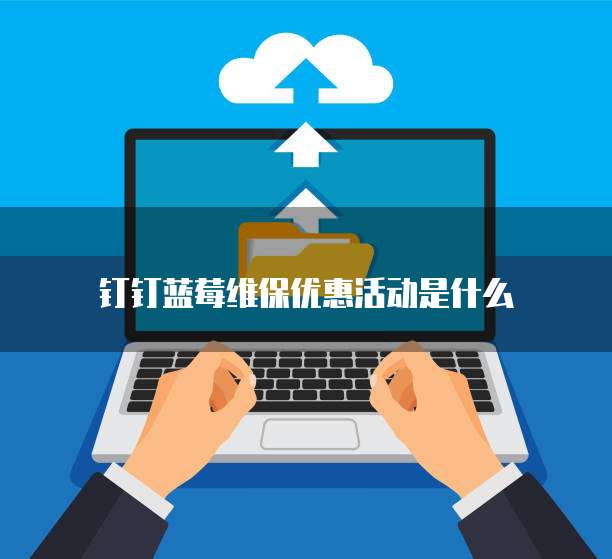 钉钉蓝莓维保优惠活动是什么