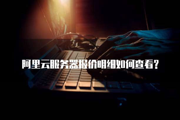 阿里云服务器报价明细如何查看?