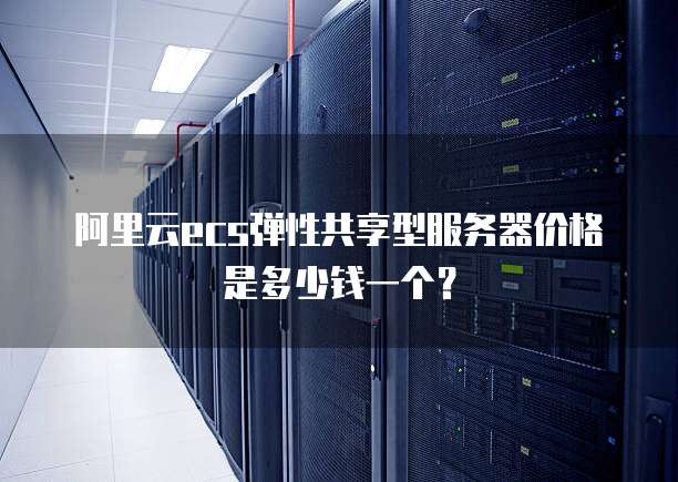 阿里云ecs弹性共享型服务器价格是多少钱一个?