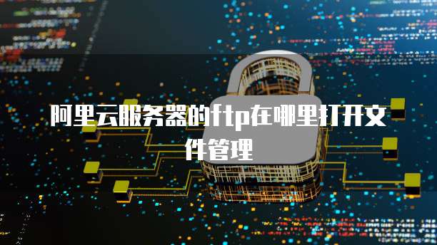 阿里云服务器的ftp在哪里打开文件管理