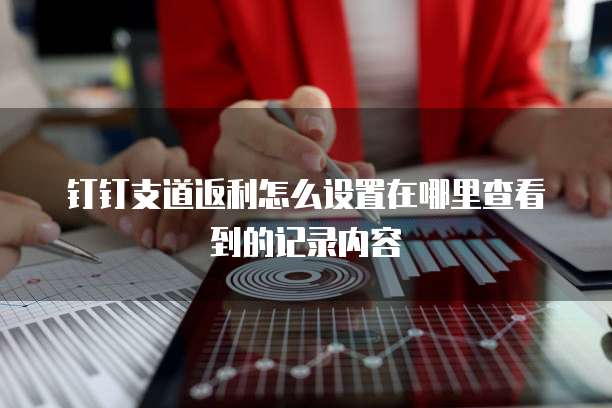 钉钉支道返利怎么设置在哪里查看到的记录内容