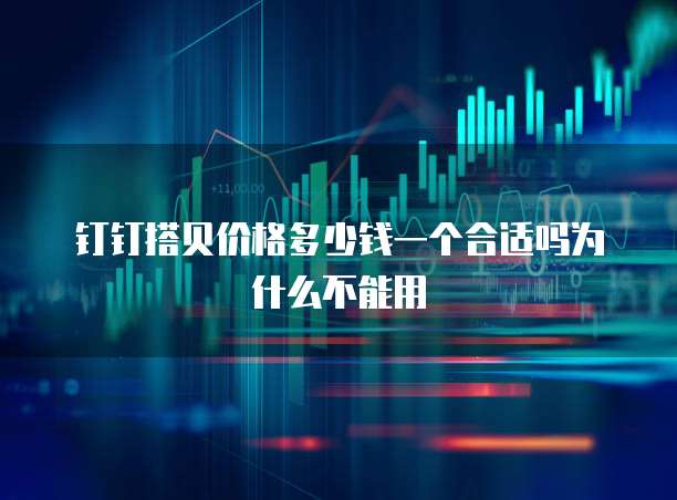 钉钉搭贝价格多少钱一个合适吗为什么不能用
